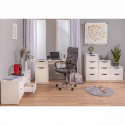 JENNY - Bureau 1 Porte 1 Tiroir Coloris Blanc