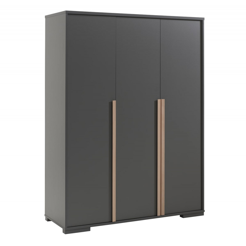 NASH DARK - Armoire 3 Portes Anthracite et Bois