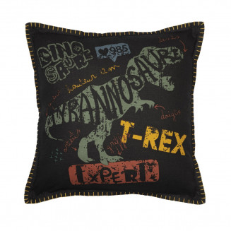 TYREX - Coussin Déhoussable 40x40cm Coton Motif Dinosaures