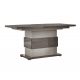 AUXANE - Table Allongeable 160-200cm Gris Metallisé et Gris Mat Pied Central