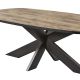 TROPIX - Table Ovale 230cm Aspect Bois Piètement Araignée Métal Noir