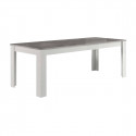 DENAE - Ensemble Séjour Complet Blanc et Gris Marbré Table 190cm + Buffet + Vitrine Leds