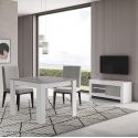 DENAE - Meuble TV 1 Porte L112cm Laqué Blanc Brillant et Gris Marbré