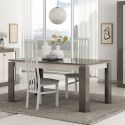 GONDOR - Table Allongeable 160-200cm Décor Bois Gris Veiné et Beige