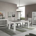 DENAE - Ensemble Séjour Complet Blanc et Gris Marbré Table 190cm + Buffet + Vitrine Leds