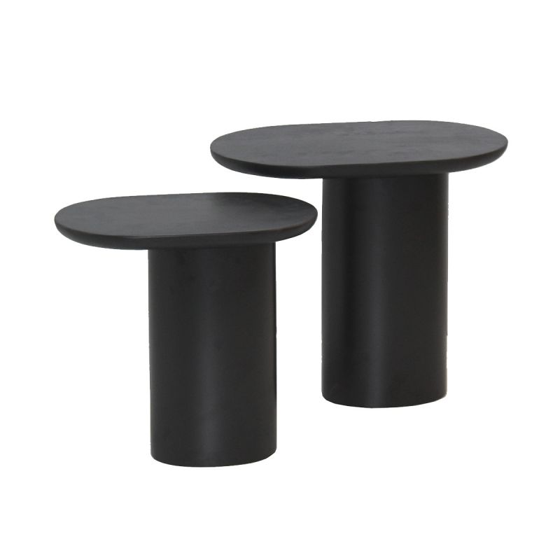 STELIAN - Lot de 2 Tables Basses Plateaux en Manguier teinté Noir Pieds Métal Noir