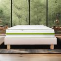 REVA - Ensemble Matelas Mousse Ep.30cm + Sommier Tapissier Beige 140x190 cm