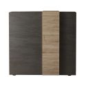 VESUVIO TITANE - Rangement 2 Portes Gris Anthracite et Aspect Bois Finition Cadiz