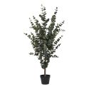 GUNIA - Eucalyptus Décoratif Artificiel Hauteur 120cm