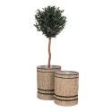 NATILIA - Lot de 2 cache-pots en jonc de mer naturel intérieur plastifié