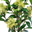 SIMMIA - Skimmia Japonica décoratif artificiel hauteur 75cm