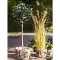 KALINDA - Lot de 2 Cache-Pots Ø27cm et Ø18cm en Rotin Kubu Tressé