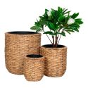 ALIZEE - Lot de 3 cache-pots en jacinthe d'eau naturelle doublés de pots en plastiques