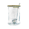 Bocal à Boisson 5L en Verre avec Louche