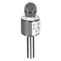Micro Enceinte Karaoké Sans Fil