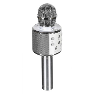 Micro Enceinte Karaoké Sans Fil