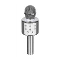 Micro Enceinte Karaoké Sans Fil