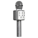 Micro Enceinte Karaoké Sans Fil