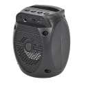 Enceinte Karaoké Sans Fil Lumineuse avec Micro