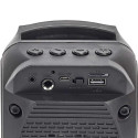 Enceinte Karaoké Sans Fil Lumineuse avec Micro Enceinte Karaoké Sans Fil Lumineuse avec Micro