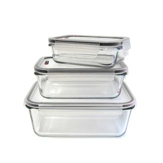 Lot de 3 Plats en Verre avec Couvercles en Plastique Hermétiques