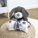 Peluche Chien Gris avec Plaid 70x70CM