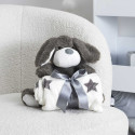 Peluche Chien Gris avec Plaid 70x70CM