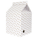 Maison en Carton pour Chat H.55cm avec Fond Griffoir