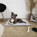 Tapis pour Animaux 85x63cm Tissu Peluché Gris Clair