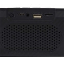 Enceinte Sans Fil Ovale 2x5W avec Lumières LED