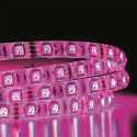 Ruban 150 Leds Multicolore Adhésif 500cm avec Télécommande
