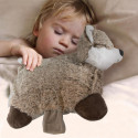 Peluche Coussin Bouillotte Micro-Ondable Tissu Ultra Doux