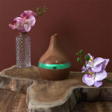 Diffuseur d'Ambiance Electrique Lumineux Effet Bois