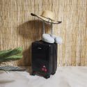 Valise Cabine Noire avec une Cerise 28L Rigide en Polycarbonate avec Roues Pivotantes 360° et Cadenas Sécurisé à Code