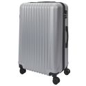 Lot de 5 Valises Rigides Argent (18L-100L) avec Vanity, Roues Pivotantes 360°, Poignée de Traction et Cadenas Sécurisé à Code