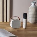 Enceinte et Micro Karaoke Design