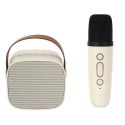 Enceinte et Micro Karaoke Design