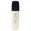 Enceinte et Micro Karaoke Design