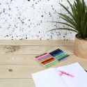 Lot de 18 Feutres de coloriage double pointe