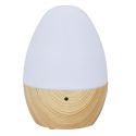 Diffuseur de Parfum LED USB 120ML, Élégant et Pratique pour Votre Salon