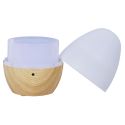 Diffuseur de Parfum LED USB 120ML, Élégant et Pratique pour Votre Salon