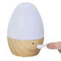 Diffuseur de Parfum LED USB 120ML, Élégant et Pratique pour Votre Salon