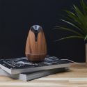 Diffuseur d'Huile Essentielle USB 120ML, Design Bois Naturel pour Votre Salon