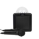 Enceinte karaoke boule disco LED avec 2 micros