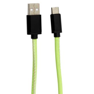 Câble charge rapide 2A type C phosphorescent 2 mètres