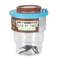 Pot d'observation avec loupe intégrée pour insectes en plastique