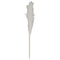 Pampa naturelle beige en roseau séché hauteur 120 cm