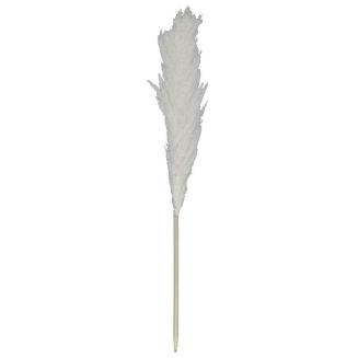 Pampa naturelle beige en roseau séché hauteur 120 cm