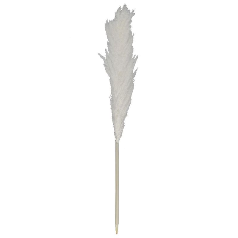 Pampa naturelle beige en roseau séché hauteur 120 cm Pampa naturelle beige en roseau séché hauteur 120 cm