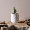 Plante grasse artificielle en polyéthylène dans un pot effet terrazzo